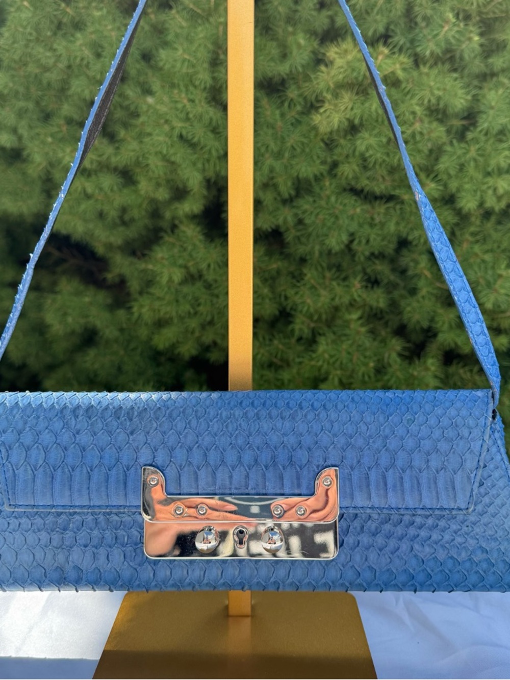 Exquisite Rare Vintage Real Python Clutch